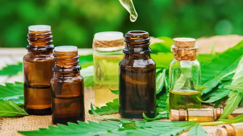 เตือนคนไทย ห้ามนำน้ำมันกัญชาเข้าฮ่องกง โทษคุก 7 ปี ปรับสูงสุด 4.5 ล้านบาท