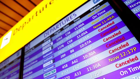 พายุฤดูหนาวพัดถล่มสหรัฐฯ ยกเลิกเที่ยวบินกว่า 1,600 เที่ยว