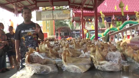 หนุ่มได้โชคเกือบ 2 ล้าน ขนหัวหมูแก้บนหลวงพ่อเคลือบ-แม่ตะเคียนย่าขาว