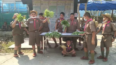 นักเรียนพะเยาปลูกผักปลอดสาร ในโรงเรียน เพื่อเก็บไปขายสร้างรายได้หลังเลิกเรียน