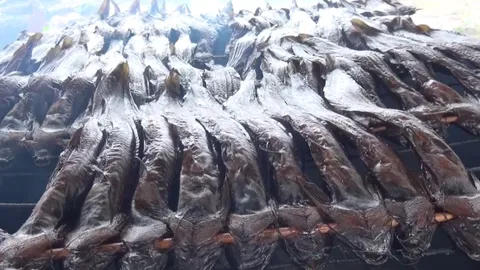 ปลาเม็ง GI ของฝากขึ้นชื่อวิสาหกิจชุมชนบ้านห้วยทราย เพาะเลี้ยงเอง ขายเอง