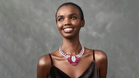 เปิดตำนานเพชรมหึมา Van Cleef & Arpels จากสุดยอดรัตนชาติสู่ไฮจิวเวลรีโลกต้องจำ