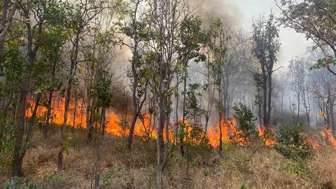 ไฟป่าโหมไหม้ อช.น้ำตกตาดโตน 2 วัน วอดแล้ว 150 ไร่ หวั่นลามบ้าน ปชช. (คลิป)