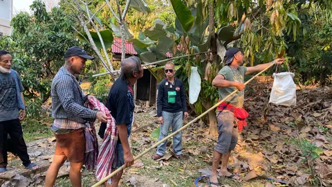 ลุงชัย เน็ตไอดอลเชียงใหม่ โชว์สอยรังมดแดง เจอมดรุมกัดเหตุอยากกินหลู้ไข่มดส้ม (คลิป)