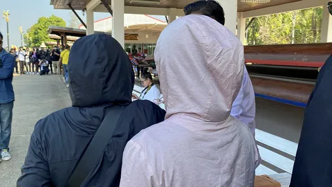 ตายทั้งเป็น