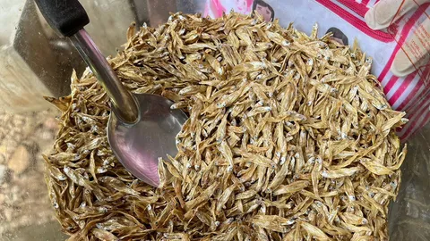 เลี้ยงลูกเบร่..ระบบปิด เพาะพันธุ์เพื่อโลกอนาคต