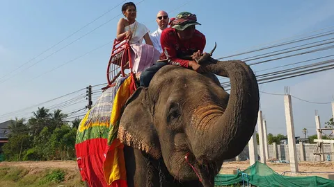 ชื่นมื่น เจ้าบ่าวหนุ่มเวลส์ รักสาวสุรินทร์มา 6 ปี จัดงานแต่งขี่ช้างรอบหมู่บ้าน