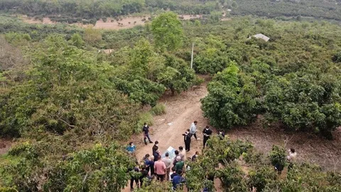 "แม่สรวย" เฮ ได้อ่างเก็บน้ำ "เฉลิมชัย" ชง ครม.ช่วยทําการเกษตร 4 พันกว่าครัวเรือน