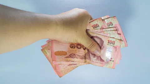 เงินแจกหรือสวัสดิการ