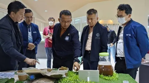 "สมศักดิ์" ดูโรงงานสกัดกระท่อม มอ.ชี้ต้องทำให้ทั่วประเทศมีมาตรฐาน GMP