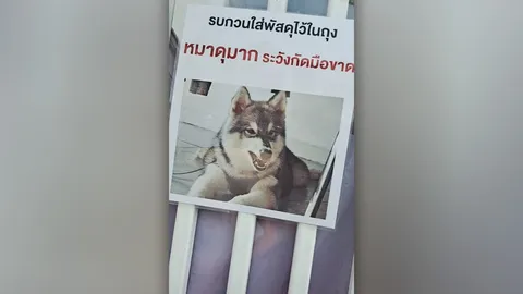 เจ้าของติดป้ายเตือน "หมาดุมาก ระวังมือขาด" เจอตัวจริงเหมือนคนละตัว (คลิป)