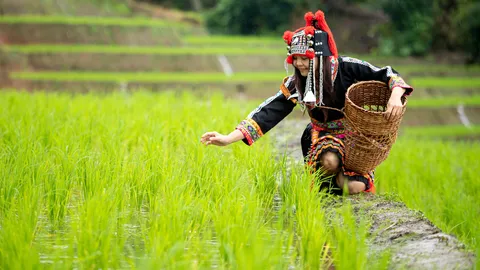 His reputation is local.