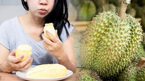 คนไทยเตรียมกินทุเรียนแพง เกษตรกรแบกค่าปุ๋ย ล้งจีนให้ราคาดี กวาดซื้อหมดสวน 