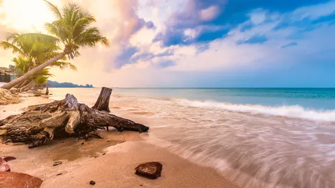 คู่มือเที่ยว "หาดเจ้าหลาว" แจกพิกัดที่พัก ที่เที่ยว เตรียมหนีร้อนไปทะเล