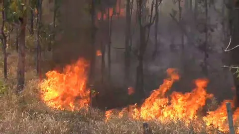 ชาวบ้านชัยภูมิ สงสารทีมดับไฟทำงานทั้งวันไม่ได้หยุด หลังไฟป่ามาถี่และรุนแรง