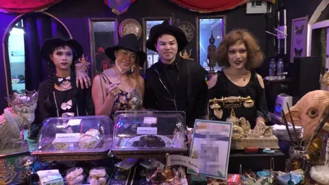 เอาใจศิษย์เก่าฮอกวอตส์ ร้านคาเฟ่เวทย์มนต์ ยกโลกเหนือจิตนาการไว้ที่สกลนคร 