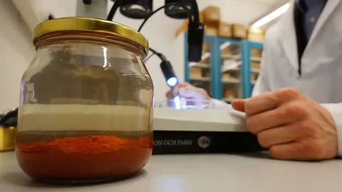 นักวิทยาศาสตร์ด้านโบราณคดี เผย เครื่องเทศอายุ 500 ปี พบในซากเรืออับปาง