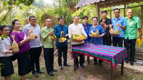 ผู้ว่าฯสิงห์บุรี พาเยี่ยมสวนมะยงชิดปลอดสาร หนุนการท่องเที่ยวเชิงเกษตร