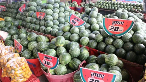 แตงโมกำแพงเพชรแพงขึ้น 100% เหตุขาดตลาดแค่ลูกเล็ก 20 บาทถ้าลูกใหญ่ 200 บาท