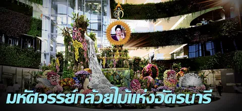 มหัศจรรย์กล้วยไม้แห่งอัครนารี