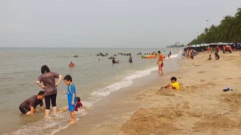 น้ำทะเลหาดบางแสนกลับมาใสสะอาด หลัง จนท.เทศบาลเก็บกวาดปลาที่ลอยตายเกลื่อน