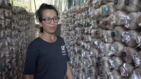ปังไม่หยุด ฟาร์มเห็ดป้าสมจิตรปราจีนบุรี เพาะเห็ดส่งขายได้เดือนละหลายหมื่นบาท