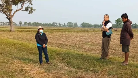 ผญบ.สุรินทร์คาดสัตว์ที่ขย้ำวัวตาย 5 ตัว เป็นหมาจรจัดหิวโซ วางกับดักรอพิสูจน์