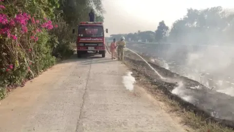 โคราชยังมีคนแอบจุดไฟเผาหญ้าข้างทางที่ อ.พิมาย ทำฝุ่นควันฟุ้ง PM 2.5 พุ่ง 