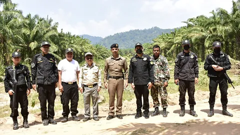 กรมป่าไม้ เปิดแผนปฏิบัติการโค่นล้มต้นปาล์มหมดสัญญาสัมปทาน 5 พันไร่ ปลูกป่าทดแทนและสร้างป่าชุมชน