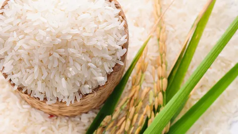 สื่อจีนแฉปลอมข้าวหอมไทยแต่งกลิ่น ทางการบุกจับปิด 3 โรงงาน ใช้ข้าวจีนใส่สารปรุงแต่งตบตา