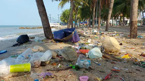 นทท.โอด เจอขยะลอยเกยเกลื่อนหาดบางแสน เทศบาลเมืองแสนสุขเร่งเก็บกวาดแล้ว