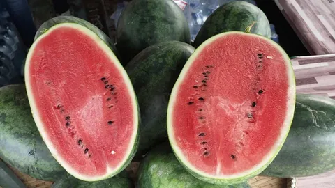 แตงโมแหลมสน จากสวนริมทะเลสตูล รสชาติเยี่ยม ปีนี้ราคาดีเพราะผลผลิตมีน้อย (คลิป)