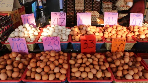 ไข่ไก่ขอนแก่นยังราคาเท่าเดิม ช่วยผู้บริโภค ชี้หน้าฟาร์มขึ้นไม่มาก พอแบกได้