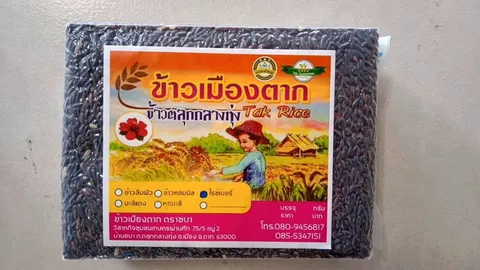 แปลงใหญ่ข้าวอินทรีย์ตลุกกลางทุ่ง