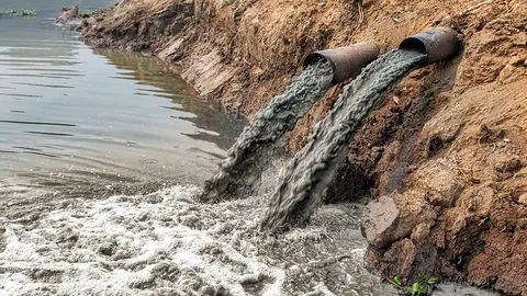 ชาวอ่างทอง ร้องถึงเทศบาลช่วยแก้น้ำเสียจากฟาร์มไหลลงคลองทำให้ใช้ทางการเกษตรไม่ได้