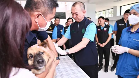 ก.เกษตรฯ คิกออฟ ป้องกันโรคสุขภาพปศุสัตว์ สั่งผ่าตัดทำหมัน สุนัข-แมวฟรี