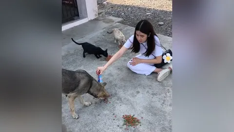 ชาวเน็ตแซะแรงมาก หลัง นุ่น สุทธิภา ลงคลิปแจกอาหารหมา (คลิป)