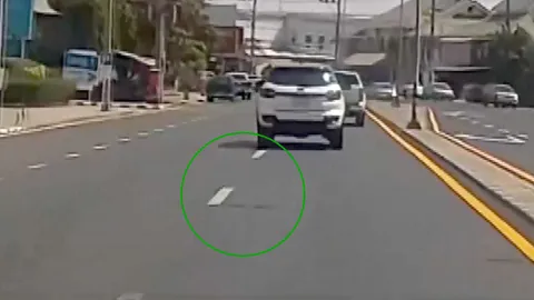 จ้องอยู่นานคิดว่าเชือก รถคันหลังตกใจ "งู" หล่นจากท้ายรถ คอหวยส่องเลขเด็ด (คลิป)