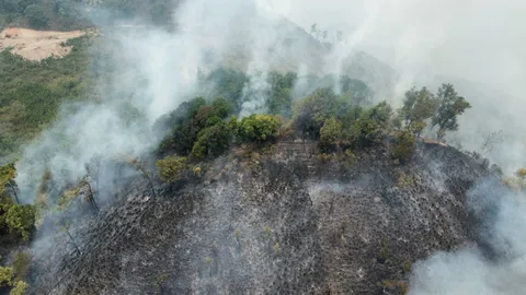 ไฟป่าบนดอยช้างลามหนัก ผู้ว่าฯ เชียงราย สั่งระดมทุกภาคส่วนแก้ปัญหา PM 2.5