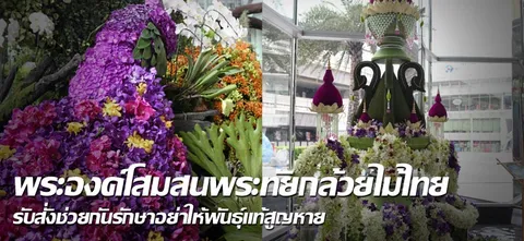 พระองค์โสมสนพระทัยกล้วยไม้ไทย รับสั่งช่วยกันรักษาอย่าให้พันธ์ุแท้สูญหาย
