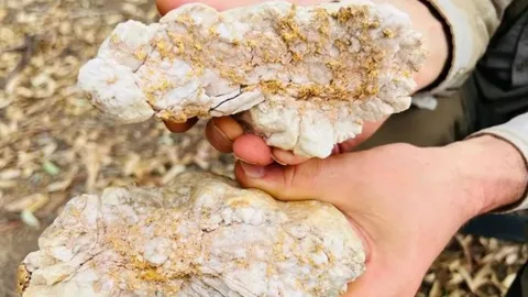 นักขุดทองสมัครเล่นออสเตรเลียเจอก้อนทองคำยักษ์มูลค่า 5.5 ล้าน