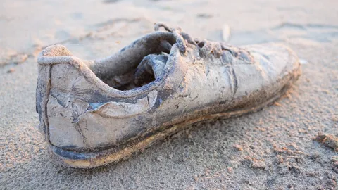 ผงะ เจอรองเท้าปริศนาเกยหาดนิวซีแลนด์ สยองหนัก ยังมีเท้าคนอยู่ข้างใน