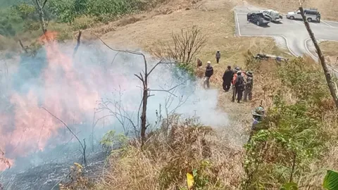 เร่งควบคุมไฟป่าภูลมโล ไหม้ 170 ไร่ ใกล้แปลงต้นนางพญาเสือโคร่ง 