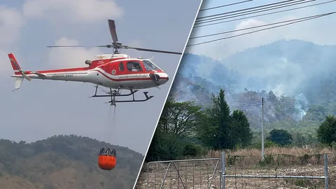 ส่ง ฮ. 6 ลำเร่งดับไฟป่านครนายก ผ่านไป 3 วันเสียหายกว่า 1,067 ไร่ 