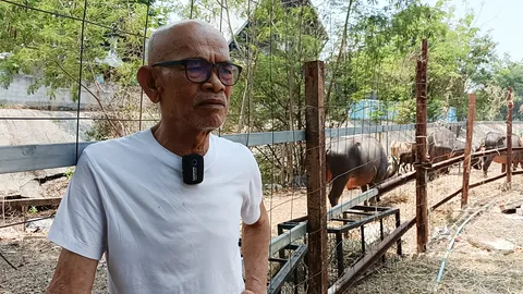 ป๋าเทพ นำวัวควายกว่า 20 ตัว มอบให้วัดป่าโคราชช่วยเลี้ยง หลังผูกพัน ตัดใจขายไม่ลง (คลิป)