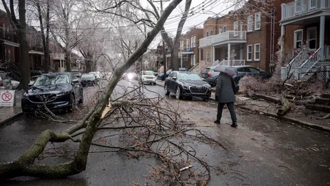 พายุน้ำแข็งถล่มแคนาดา ดับ 2 ศพ กระทบคนนับล้าน
