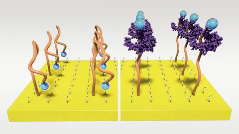 ทรานซิสเตอร์ขยายสัญญาณตรวจจับชีวเคมี