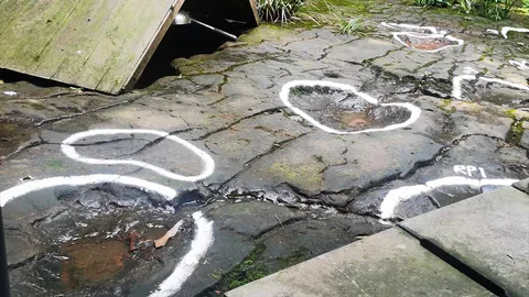 ระบุรอยเท้าไดโนเสาร์ยุคครีเตเชียสในจีน