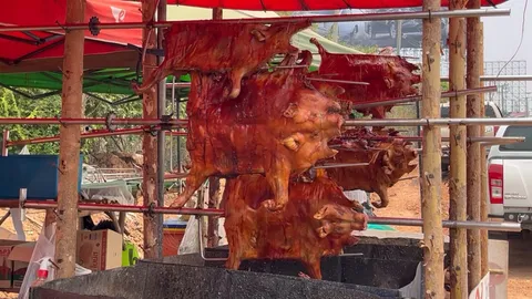 สงกรานต์หมูหันขอนแก่นขายดี ต้องเพิ่มเตาย่างรับลูกค้า ในราคาเริ่มตัวละ 1,200