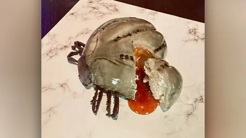 เปิดใจเจ้าของร้าน "เค้กเห็บหมา" บอกกระแสตอบรับดีมาก ยอดสั่งจองพุ่งเกินคาด